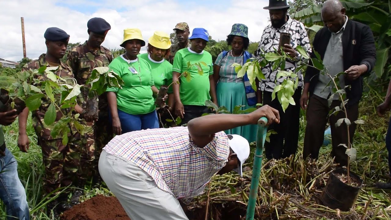 KenyaPower_Care's tweet card. Kenya Power, Thika residents plant 500 trees along Chania River...