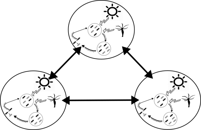 peterroopnarine's tweet card. A simple, hypothetical community network illustrating multiple levels of ecological and evolutionary processes, and hierarchical organization. The 12th North American Paleontological Convention was…