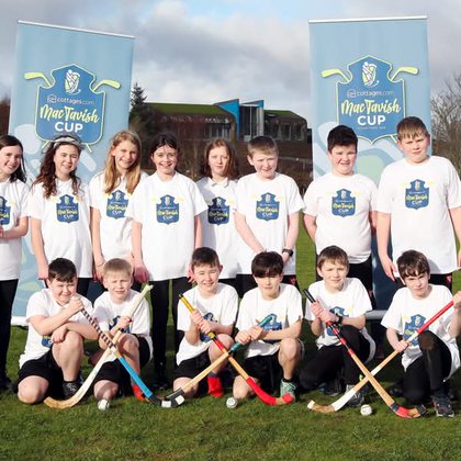 Tweet card summary image