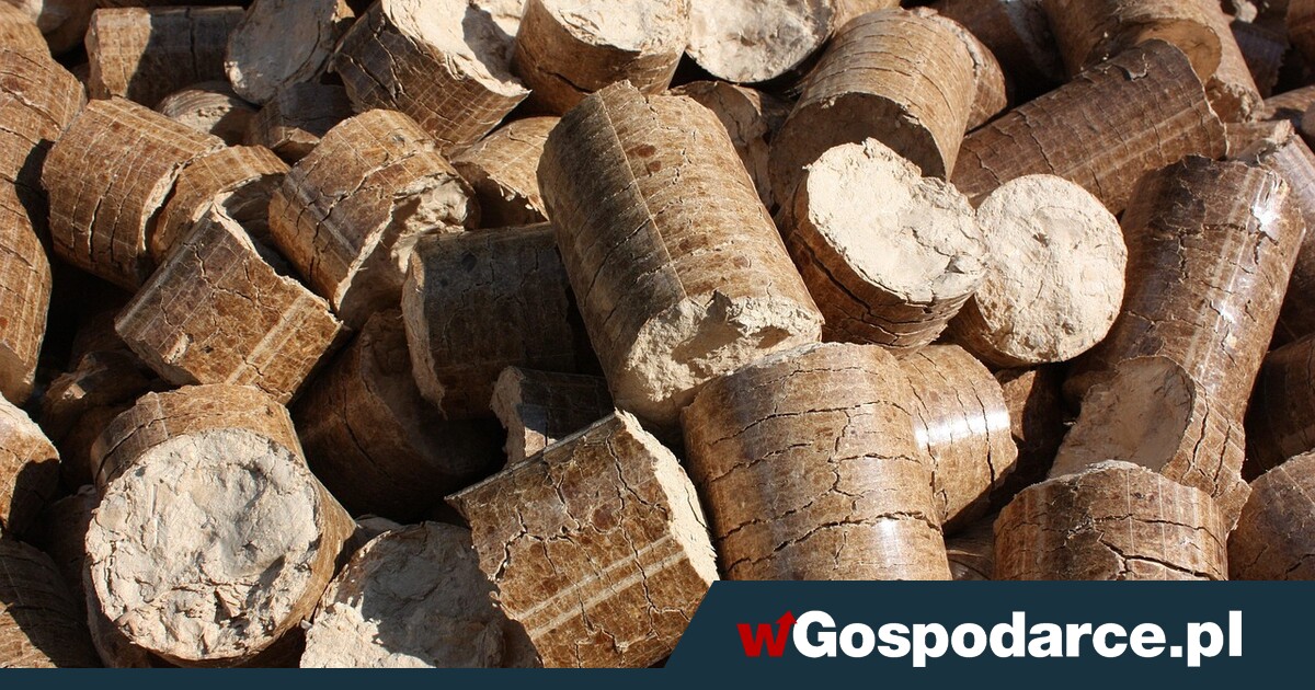 wgospodarce's tweet card. Brykiet z łuski słonecznika, wytwarzany z odpadów przemysłu spożywczego bez dodatków chemicznych, staje się hitem sezonu grzewczego