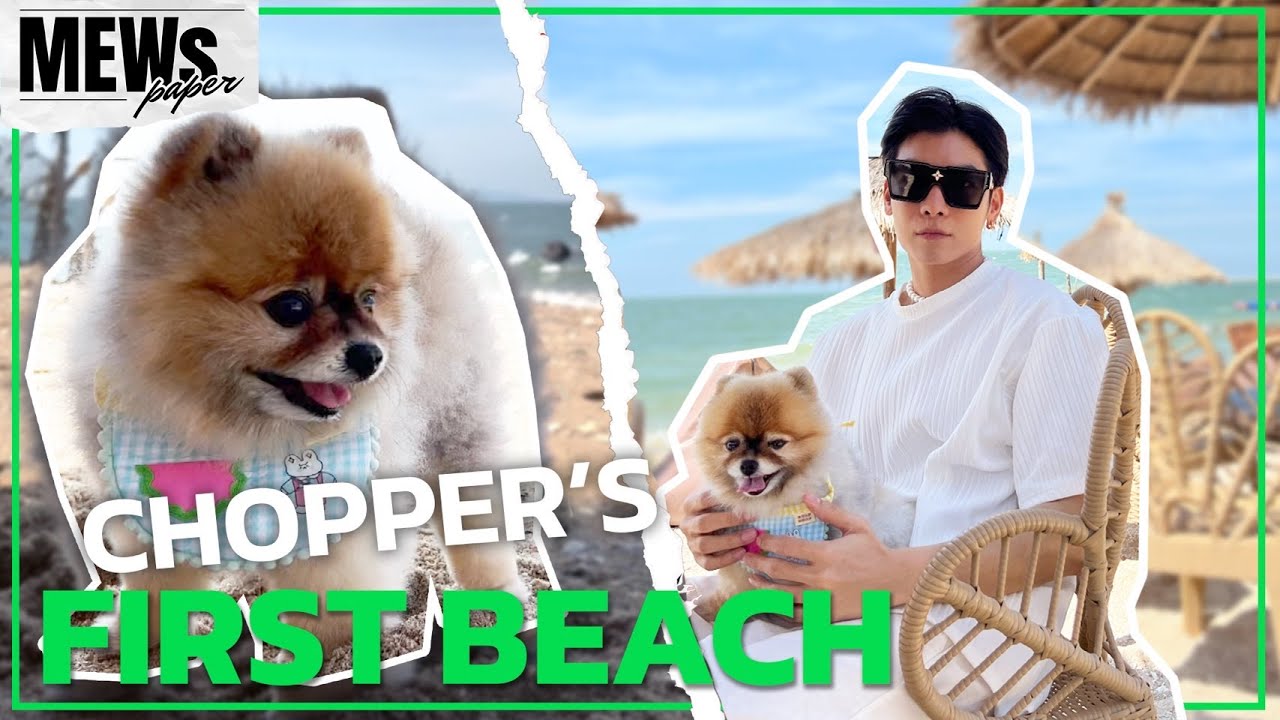 SuppasitChannel's tweet card. Mewspaper EP5 I CHOPPER'S FIRST BEACH [ENG SUB]