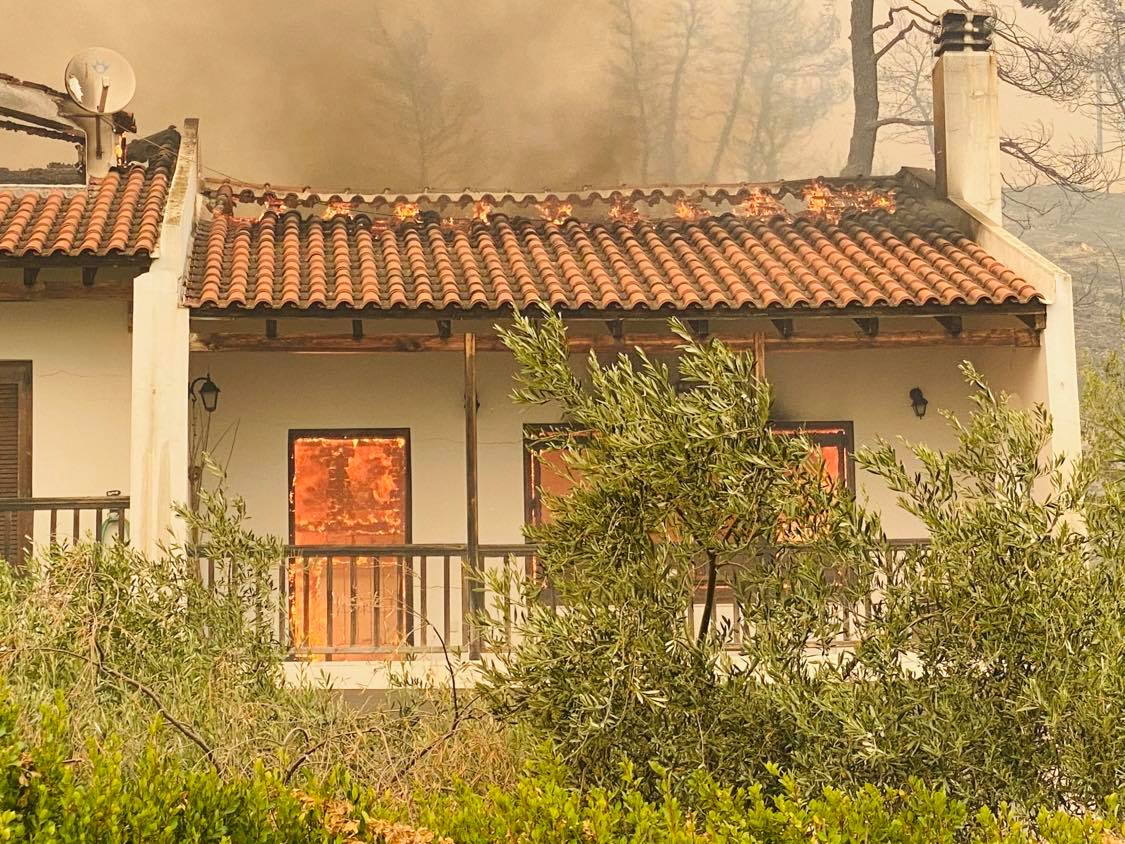 NeilMegas's tweet card. Fires that burn across the island of Evia have displaced hundreds; please help the fire victims on Evia by contributing to our GoFundMe page.