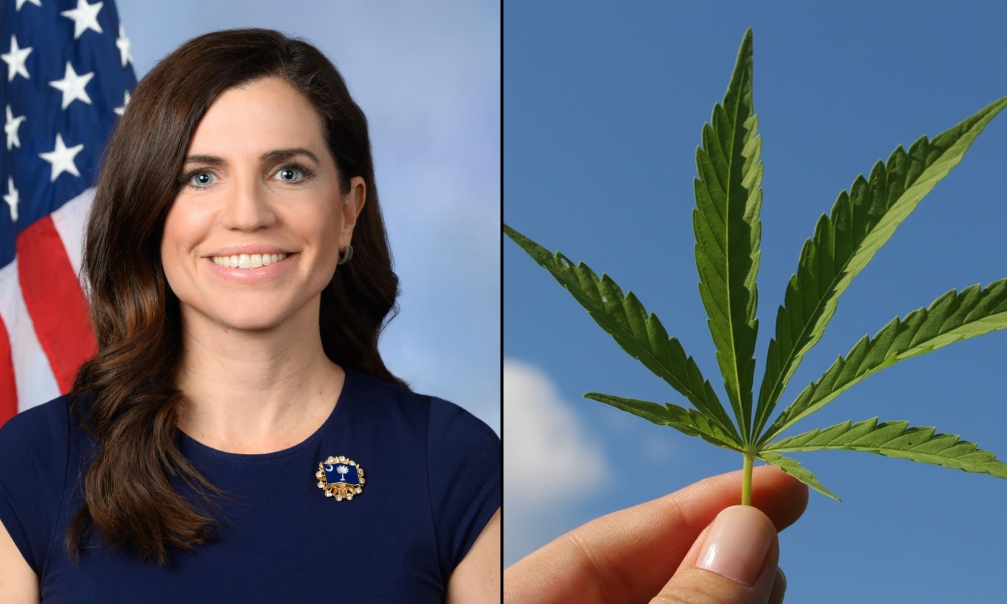 tomangell's tweet card. A GOP congresswoman is circulating a bill that would stop the implementation of a federal hemp THC product ban that’s part of spending legislation signed by President Donald Trump last week. And...