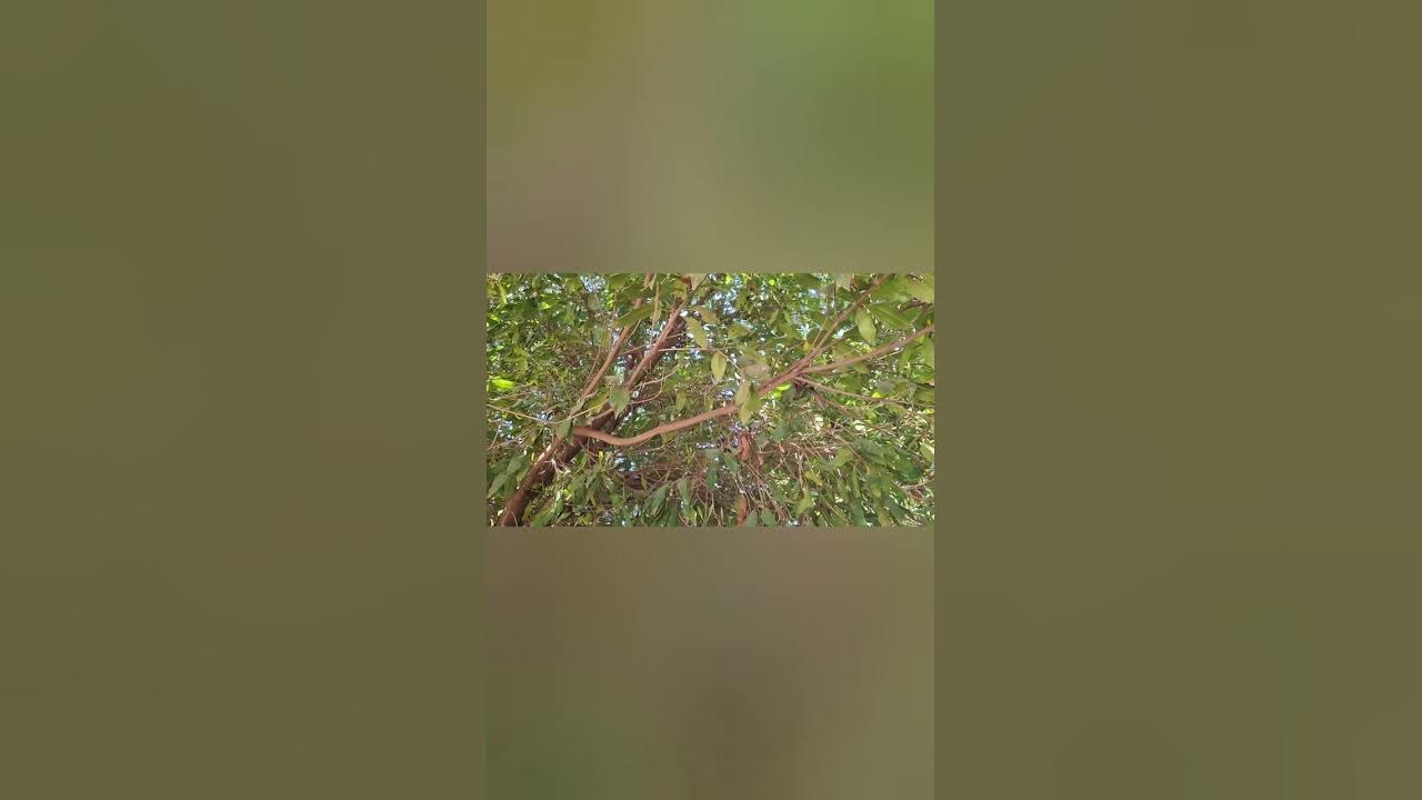 rajendranhgtwad's tweet card. @போர்வெல் @தாருகாபுரம் #3dscanning #நிலத்தடிநீர்_ஆய்வு #rajendran_g...