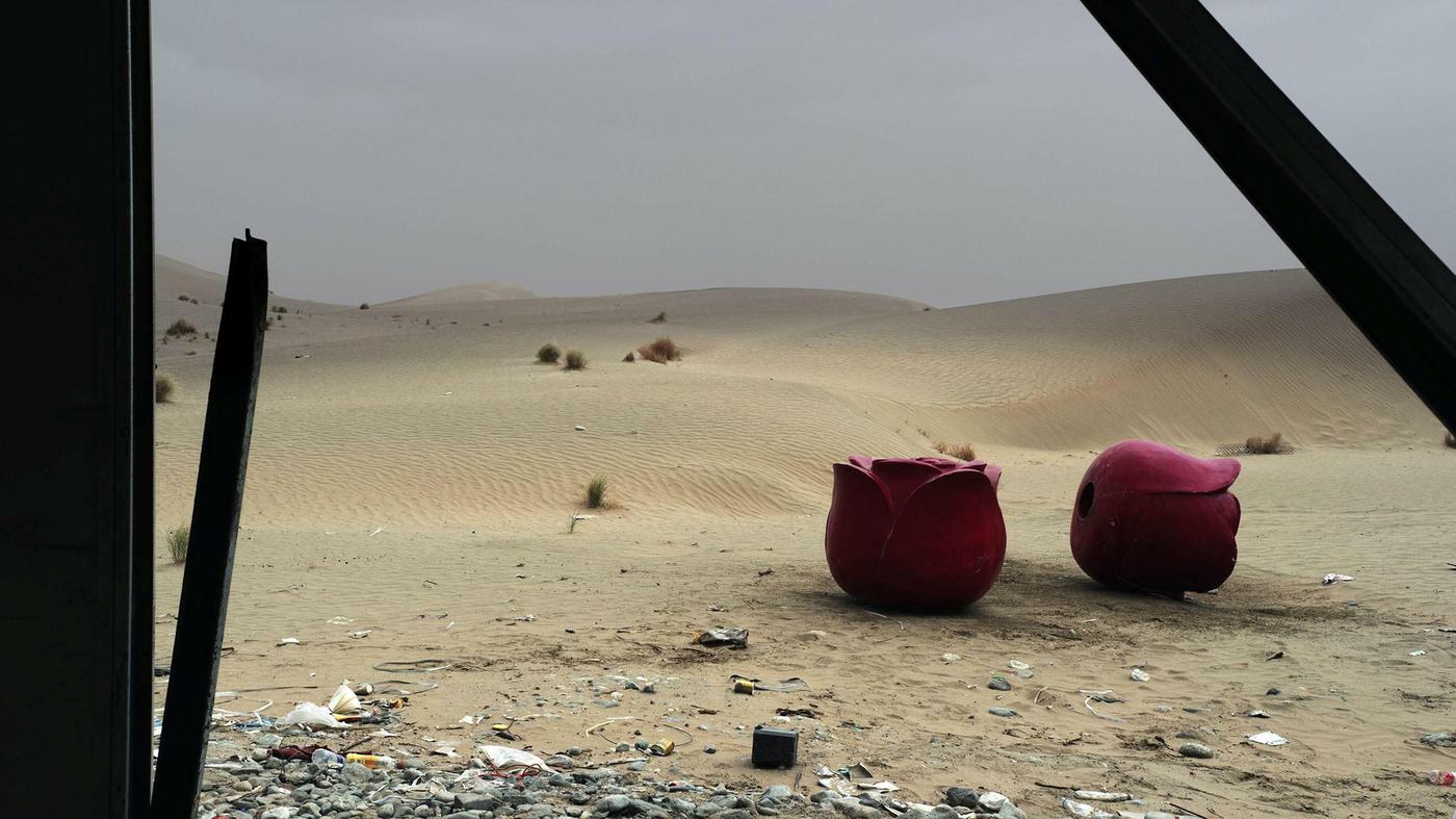 _birgitrieger's tweet card. Meisterschüler, Forum Expanded und Neues aus dem Kosmetiksalon Babette - das sind unsere Kunsttipps für die nächsten 14 Tage.