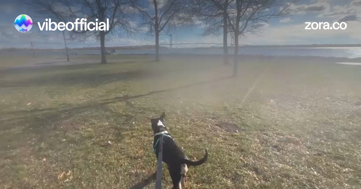 havehonorfaith's tweet card. New day, new downloads. Move with clarity, build with intention, and let your energy speak louder than your plans. #MindCalmWell $VibeOfficial