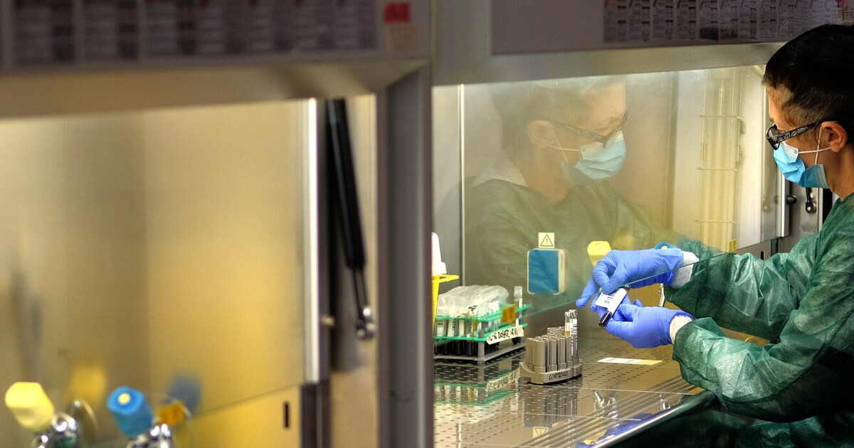 fornerislab's tweet card. Prodotto dall'Istituto europeo di Oncologia in collaborazione con il Mount Sinai Hospital di New York, è in grado di rilevare gli anticorpi per il Covid. Sensibile e specifico, è riproducibile da...