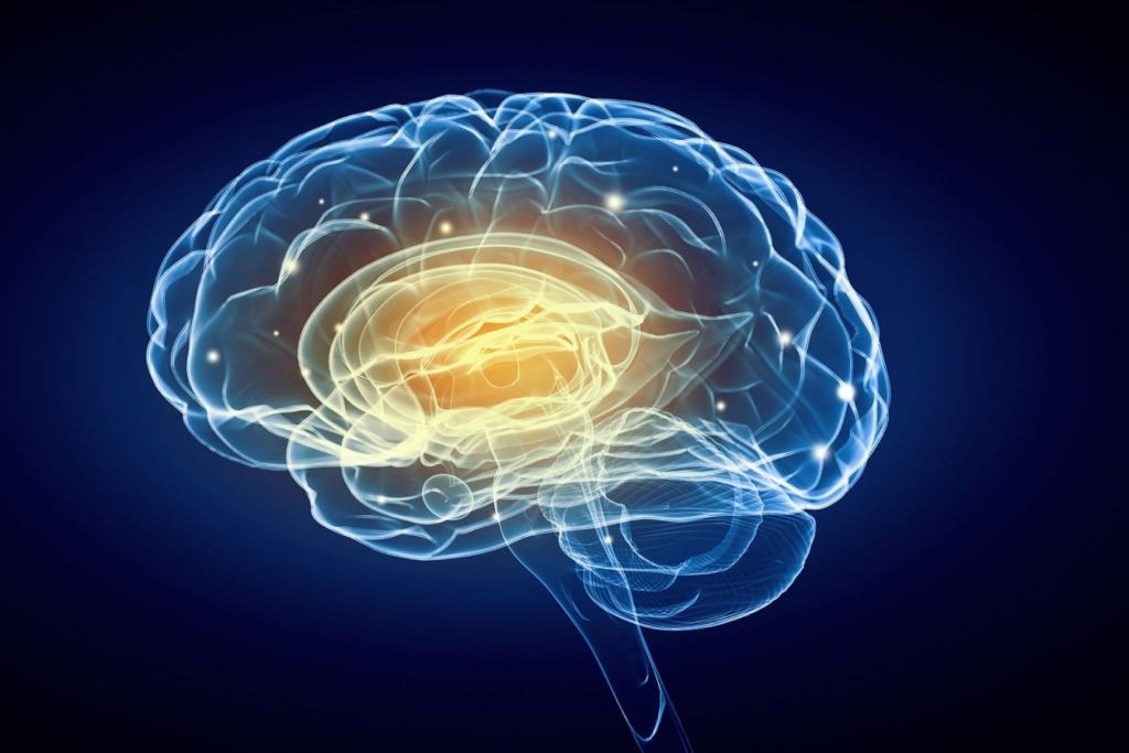 Entrepreneur's tweet card. Learn by doing with these fun and brain expanding activities.