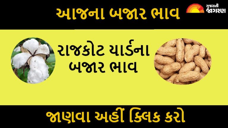 gujaratijagran's tweet card. Rajkot Market Yard Bhav Today 17 November 2025 (રાજકોટ માર્કેટ યાર્ડ ના ભાવ): આજે આ અહેવાલમાં આપણે રાજકોટ માર્કેટ યાર્ડના આજના બજાર ભાવ વિશે વિગતવાર માહિતી મેળવશું. રાજકોટ એપીએમસી ગુજરાતના મહત્વપૂર્ણ...