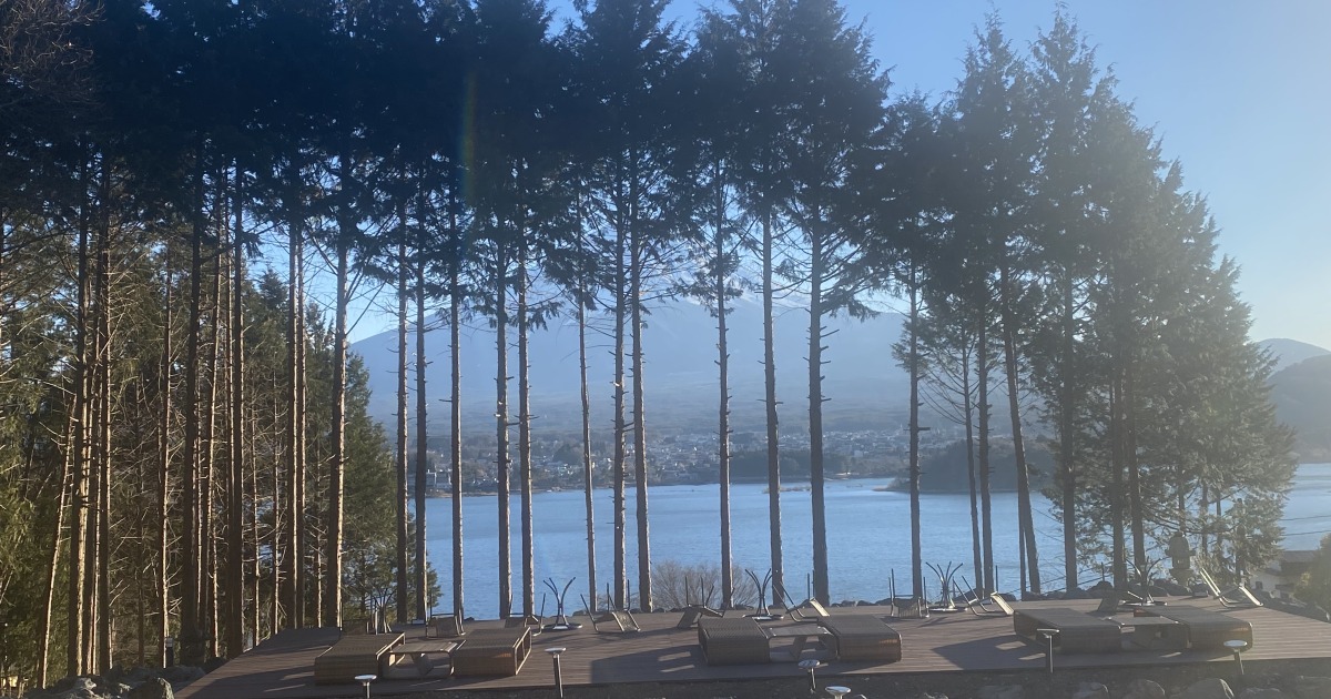 procareglass's tweet card. 山梨県富士河口湖町にある中国資本ホテルが「あなたの家の木のせいで富士山がよく見えない」という理由で隣人宅のヒノキを無断で伐採、さらに除草剤を注入した事件。発生から約3年、実行犯の中国人男性に実刑判決が下された一方、首謀者である中国人経営者は「国外逃亡」していることがわかった。