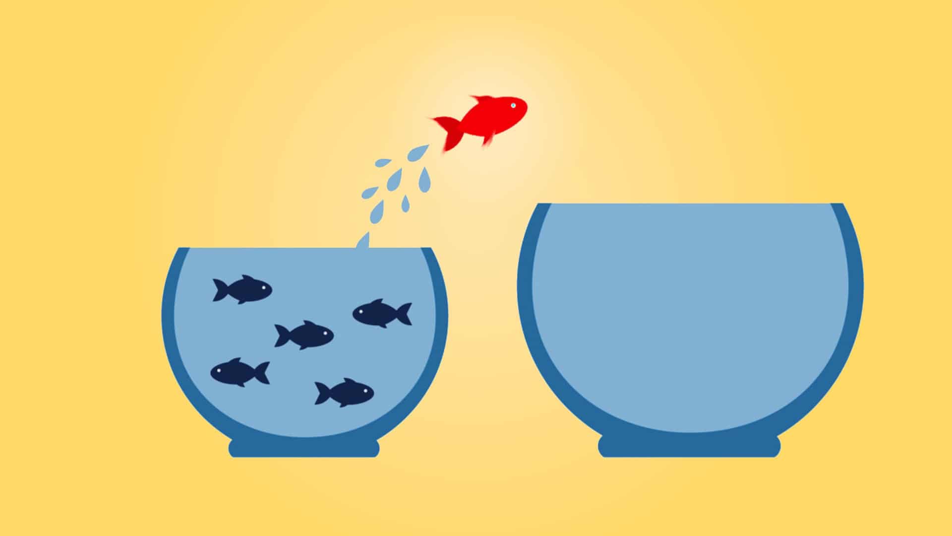 johntaieb's tweet card. Je te donne mes techniques et mes outils pour trouver des niches et obtenir des idées de startup sans concurrence.