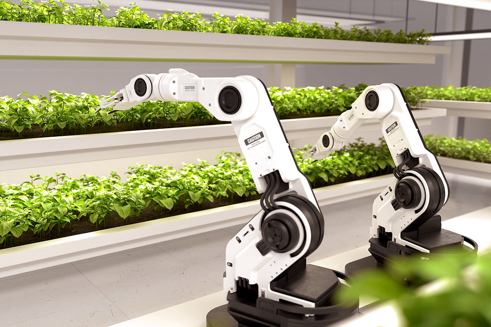 LidaSolutions's tweet card. At Lida Solutions, we’re all about automation. We love it. We live it. We think it’s one of the best things medium-to-large enterprises can do to propel their businesses forward. And it isn’t just us...