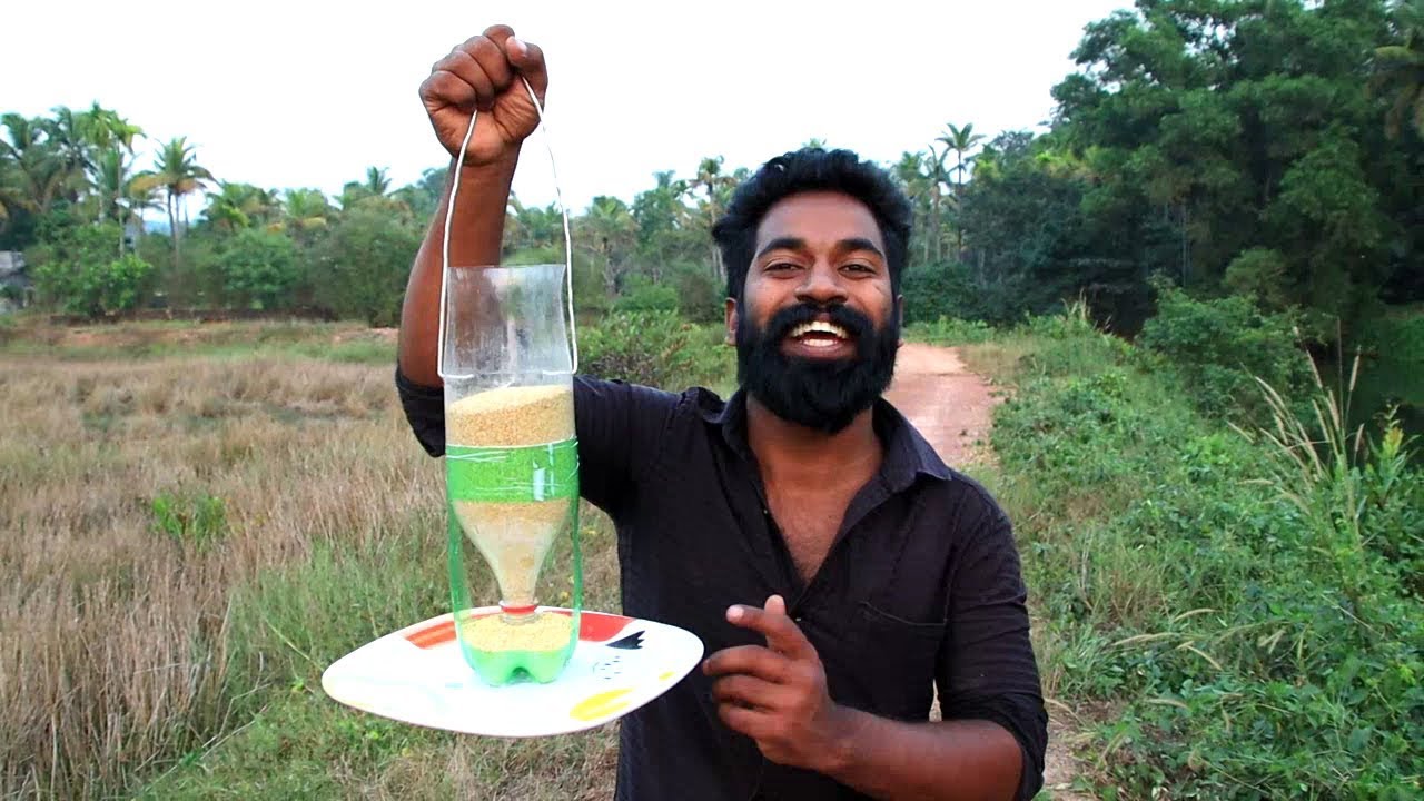 HackerzzzMulti's tweet card. തീറ്റ ഇനി ചുമ്മാ പോകില്ല | Simple Bird Feeder Making | M4 Tech |