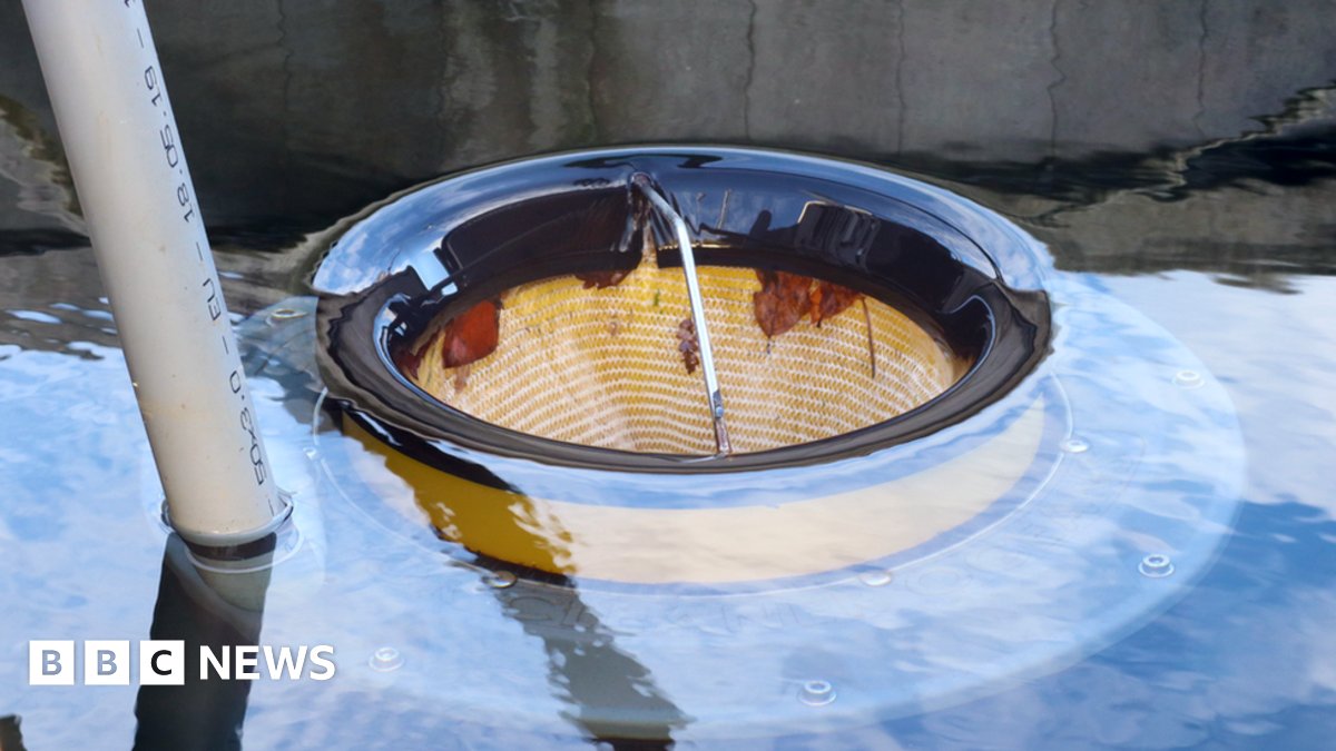 BBCCornwall's tweet card. The bin is one of hundreds installed across the world after the concept was launched in Australia.