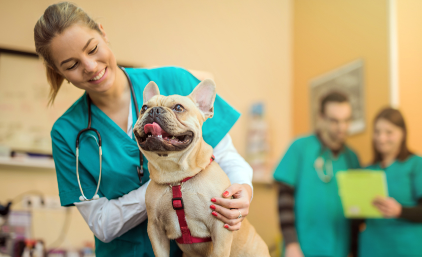 LifeLearnInc's tweet card. April 28, 2018, is World Veterinary Day—to celebrate, here are 4 things that make veterinary practices awesome.