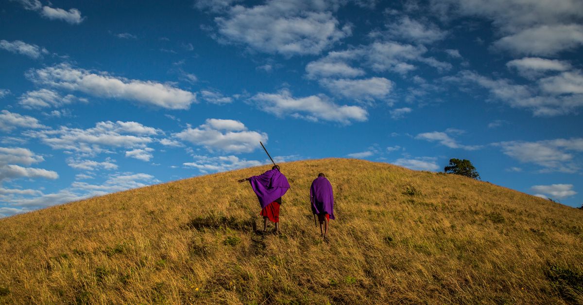 ConservationOrg's tweet card. On International Day of the World’s Indigenous Peoples, Conservation News is highlighting three stories about Indigenous peoples on the frontlines of protecting the nature they rely on.