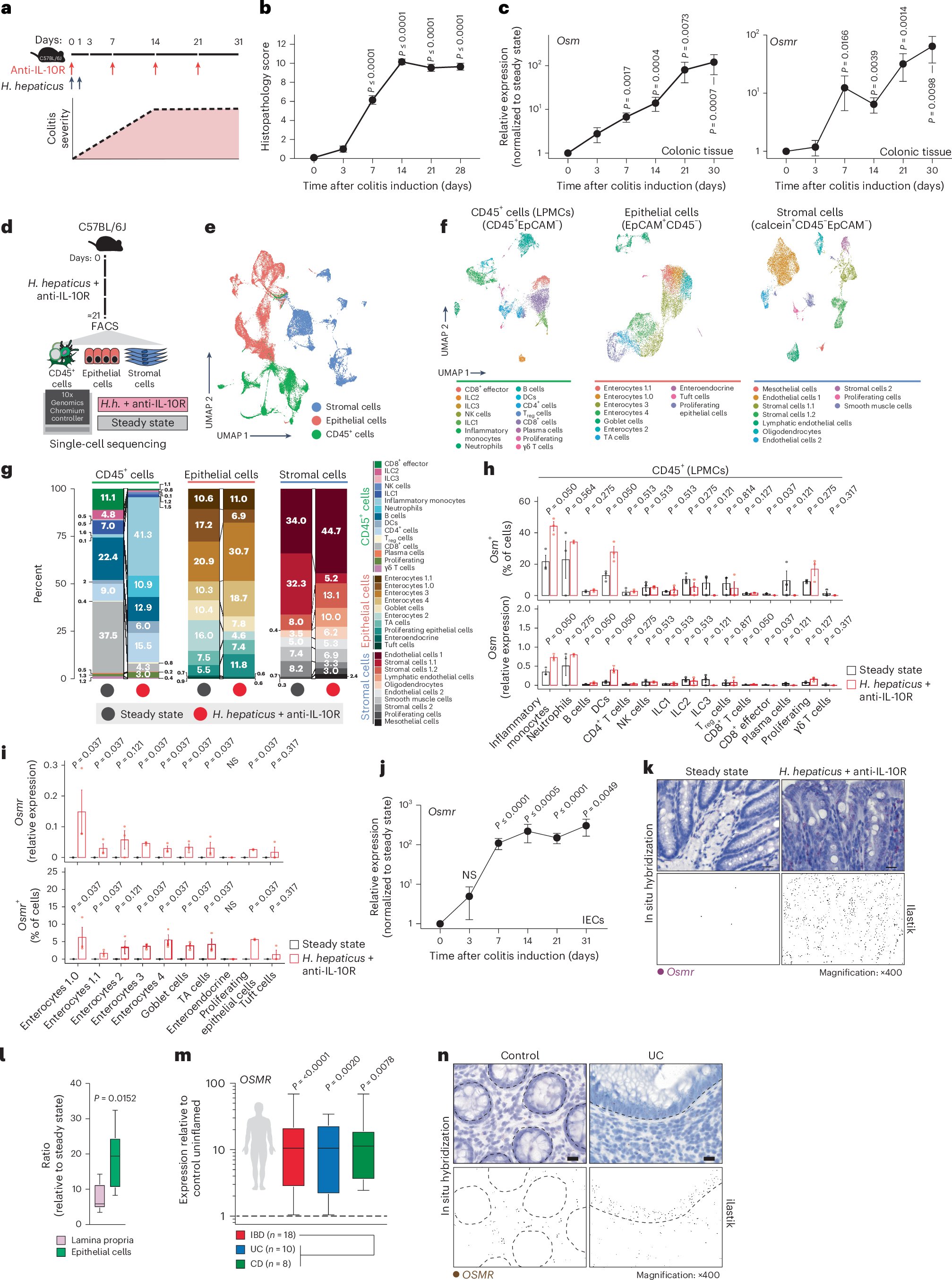 Lo_Zanzi's tweet card. Nature Immunology - Hegazy and colleagues demonstrate that epithelial oncostatin M receptor expression drives gut inflammation and tumor formation.