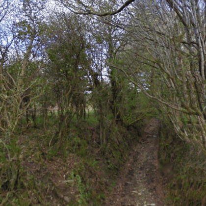 Tweet card summary image