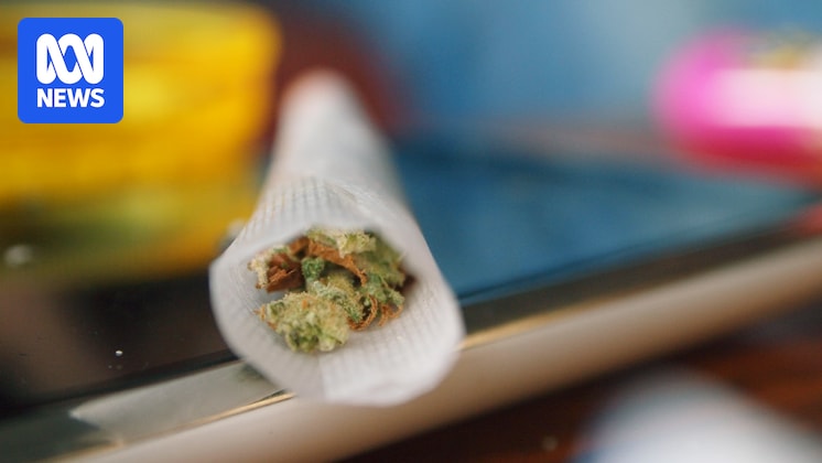 andrewdowling's tweet card. Despite legal organisations, researchers and peak industry groups flagging the potential benefits for NSW's legal and health systems if the personal use of cannabis is decriminalised, premier Chris...