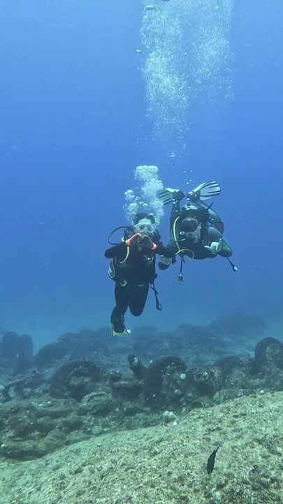 Jelena_Karleusa's tweet card. IAMBOKI – The Last Bubble 💫 (Underwater Dream Short) #edms #electr...