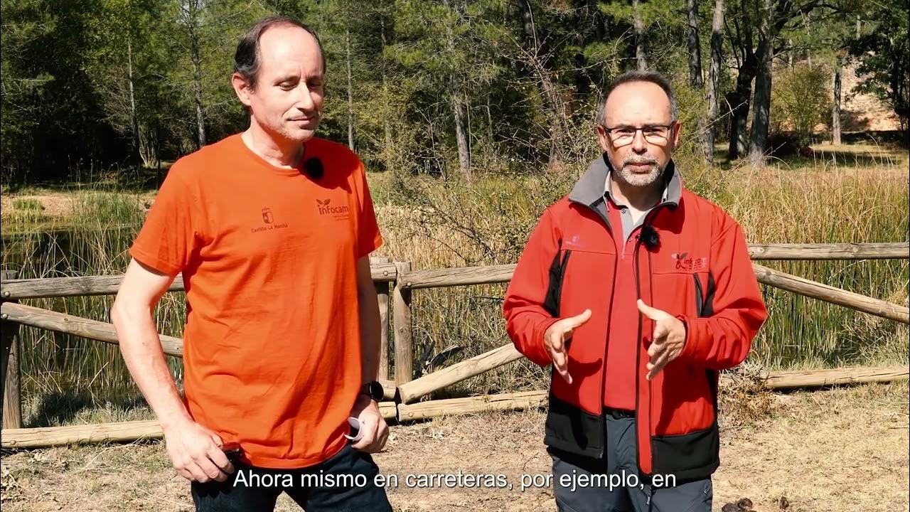 Plan_INFOCAM's tweet card. Proyectos ejemplares CLM M8.3 Prevención Incendios