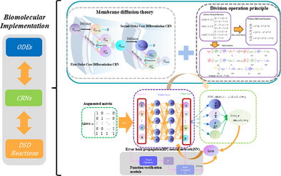 Jianmin4drugai's tweet card. This research introduces an augmented matrix-based DNA molecular neural network to achieve molecular-level solving of biological Brusselator PDEs. Crucial innovations include: (i) an augmented...