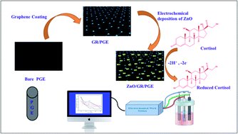Rijorajeev2's tweet card. Electrochemically deposited ZnO nanoparticles on a pencil graphite electrode (PGE) coated with graphene generate a noteworthy conductive and selective electrochemical sensing electrode for the...