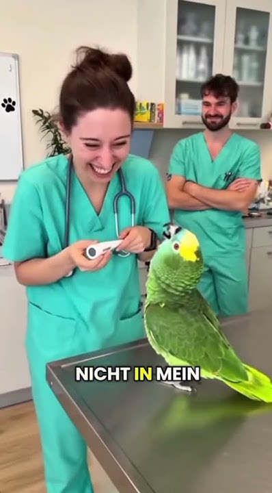 Schoderli's tweet card. Fieber messen im P...😂😂#lachen #funny #comedy #humordestages...