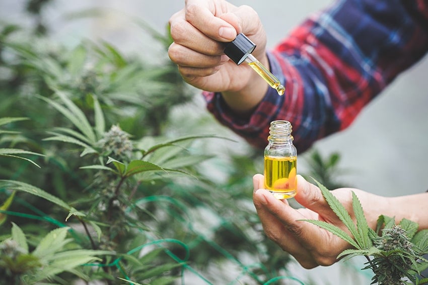 extractlabs's tweet card. Misconceptions about CBD persist despite its popularity. Explore why misconceptions persist and how to find accurate information about CBD.