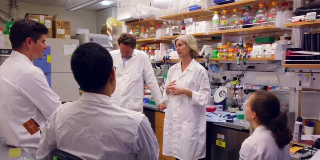 UTSWMolBiol's tweet card. A breakthrough in gene editing, CRISPR, gives humans unprecedented access to the source code of life. Jennifer Doudna is a pioneering co-inventor behind the technology that could fix diseases that...