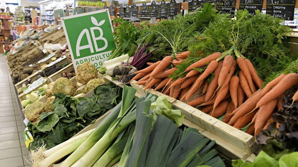 G_Le_Du's tweet card. La Fédération nationale de l’agriculture biologique (FNAB) dénonce la redistribution d’aides initialement prévues pour le bio. Et déplore « un désengagement sans précédent de l’État dans son soutien...