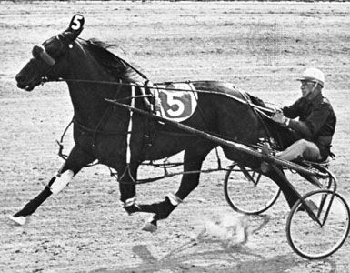 mgrmcs's tweet card. Found on Google from britannica.com