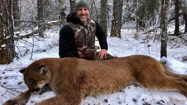 LaureenHarper's tweet card. A Canadian TV personality is taking heat online after he killed a cougar in northern Alberta.