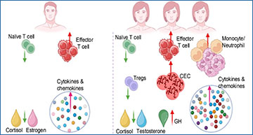 RNASeqBlog's tweet card. Women are three times more likely than men to get severe long COVID: Here’s why