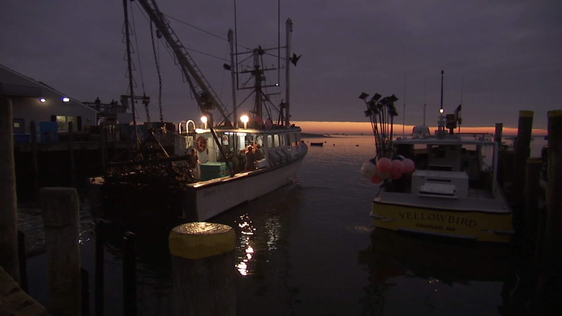 SciTechNow's tweet card. Within sight of the famous New York skyline you might see something unexpected. Whales. Howard Rosenbaum, Senior Scientist for the Wildlife Conservation Society explains why whales are showing up in...