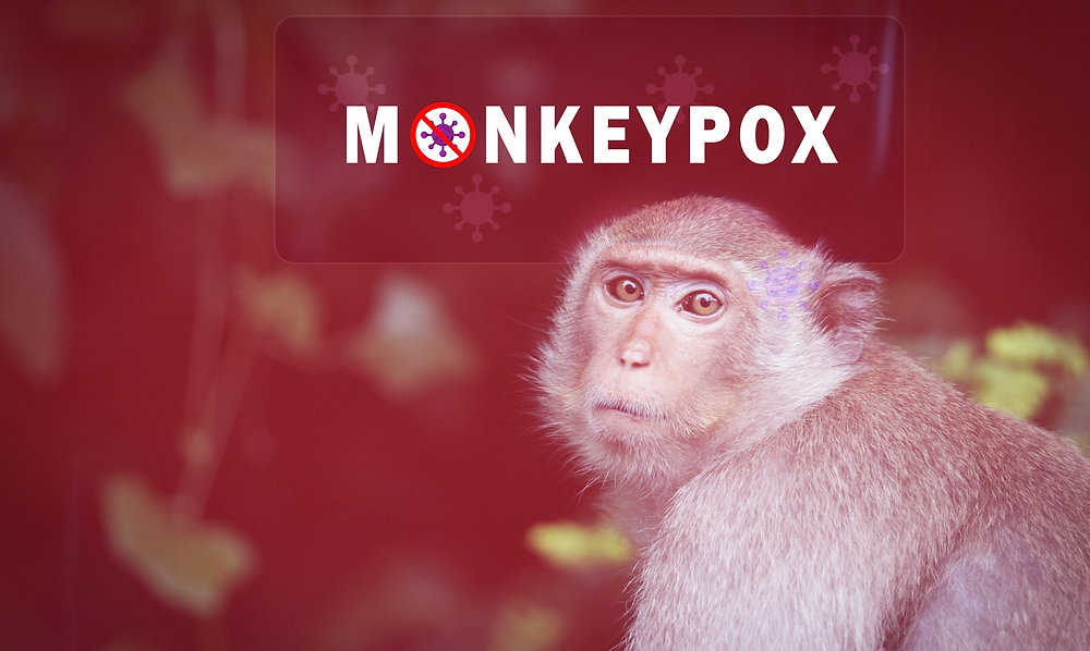 MarksDogBlog's tweet card. Can Dogs Get Monkey Pox?Monkeypox is a rare viral infection that is similar to smallpox. It is most commonly found in Africa
