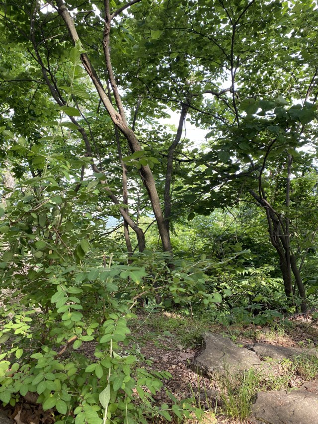 historyuncensor's tweet card. Jessica Downs Journalist and Writer If you are interested in learning more about what this website provides, the articles that are published, social media analytics and more, check out the PDF belo…