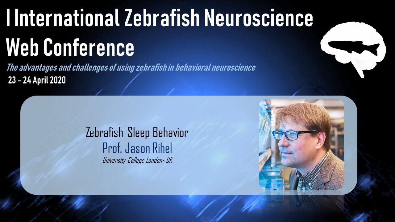 ViewpointBehav's tweet card. Prof. Jason Rihel lecture - I IZN Web Conference