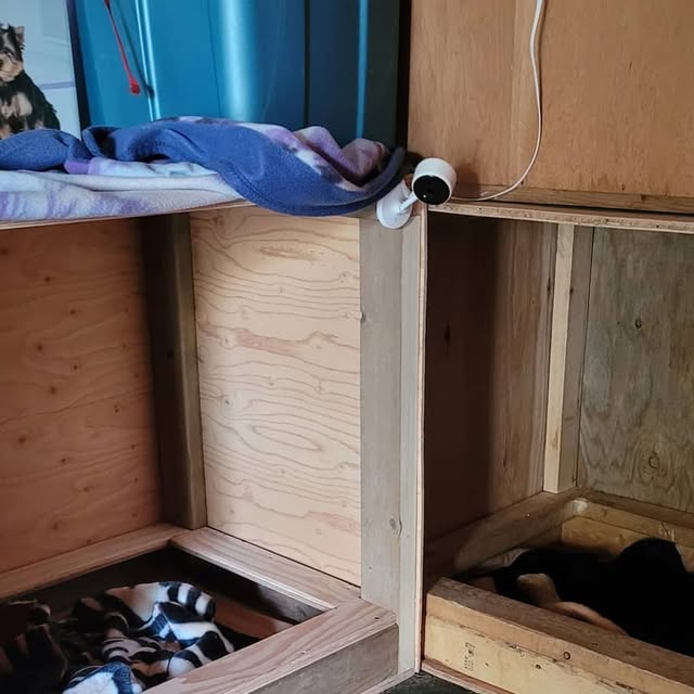 ForgotnGoGo's tweet card. GoGoMystic (@gogomystic) • Instagram photos and videos