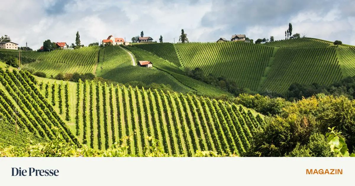 mfleischhacker1's tweet card. Was ein Steirer ist und wie er zu sein hat, kann man an Erzherzog Johann und auch an Franz Josef Hödlmoser ablesen. Etwas von beiden lebt immer noch in der steirischen Seele.