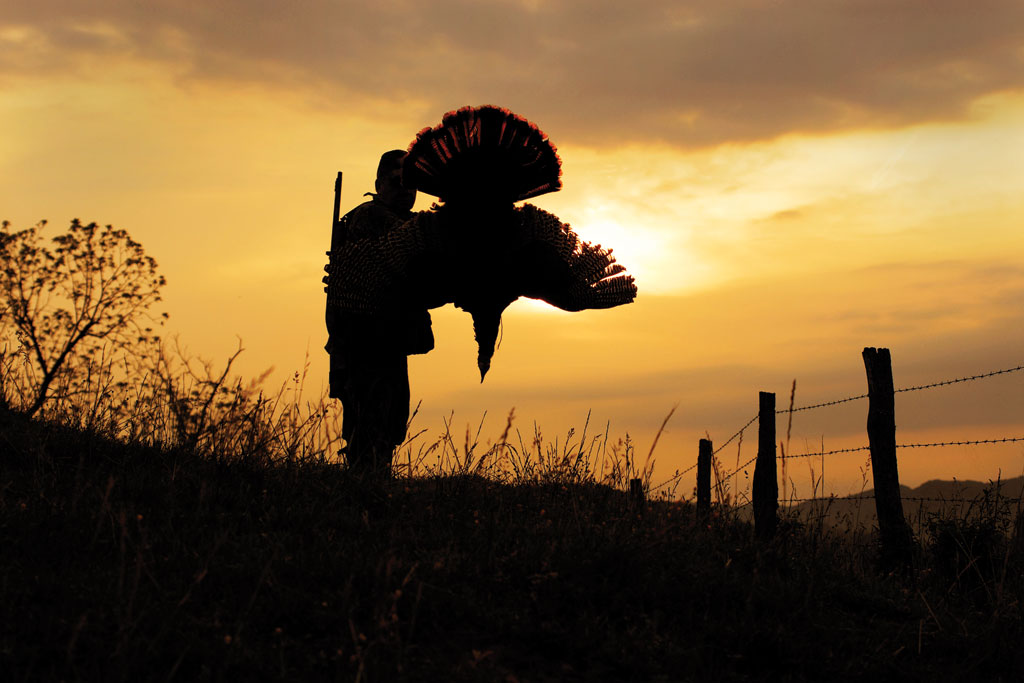 TheHuntingPage's tweet card. The most important aspect of turkey hunting is to have a place to hunt and birds to chase.  First, check with your local private landowners because this is a good place to begin scouting gobblers and...