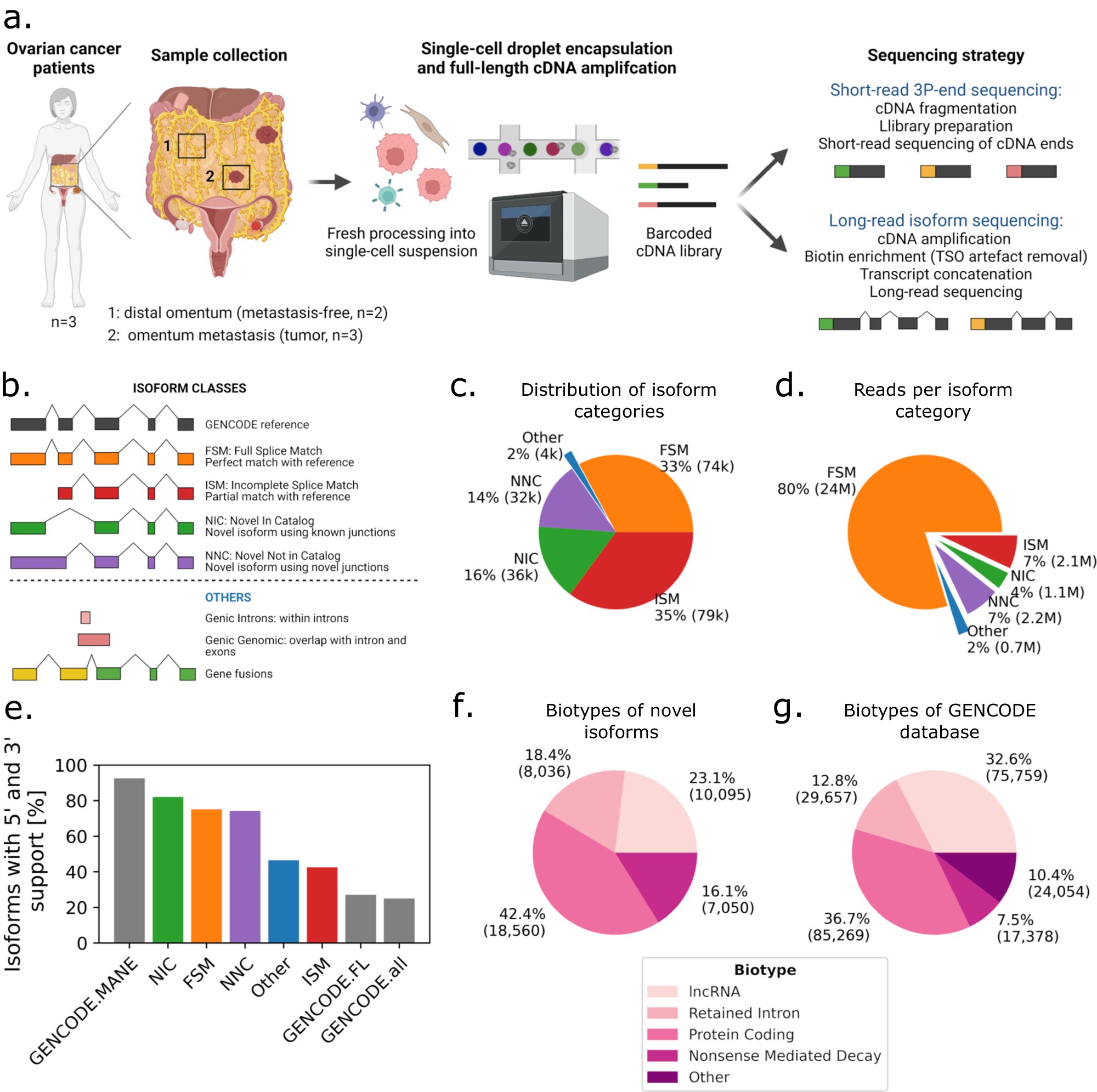 ArthurDondi's tweet card. Nature Communications - Long-read single-cell RNA sequencing is capable of detecting isoform-level gene expression and genomic alterations such as mutations and gene fusions, thereby providing...