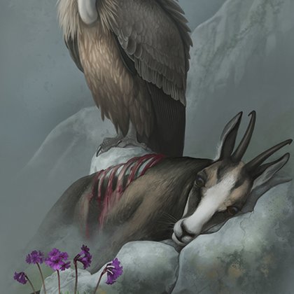 Tweet card summary image