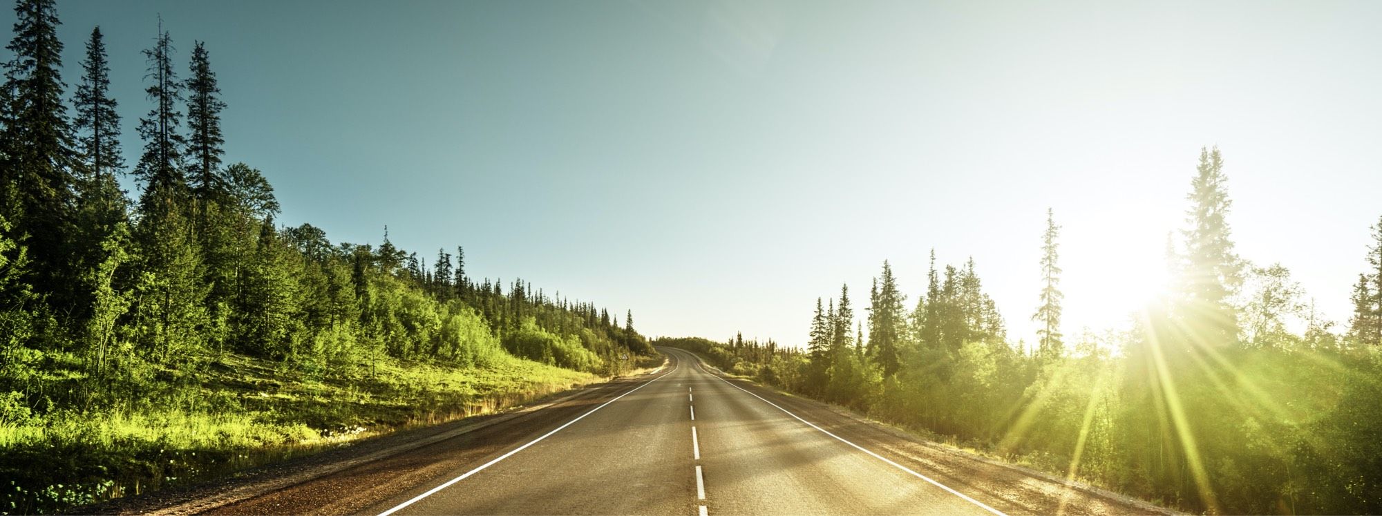 FiLogic's tweet card. Filogic OpenTMS