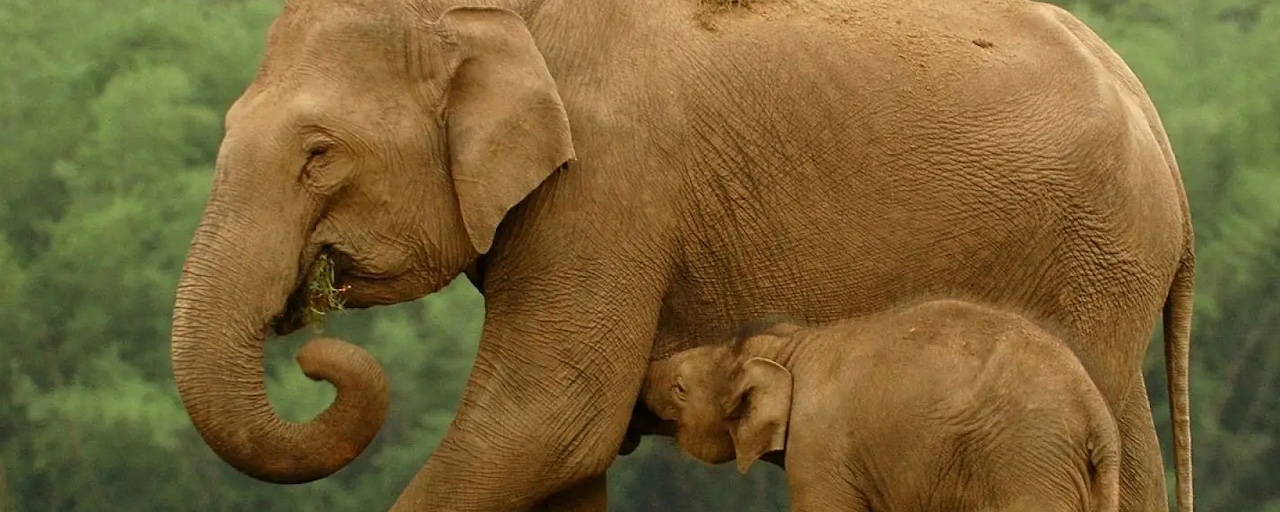 planetpostgres's tweet card. How CloudNativePG implements offline in-place major upgrades of PostgreSQL