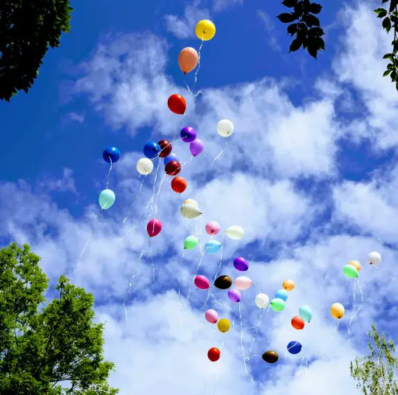 WarrenLNaida's tweet card. Too many WordPress plugins slow your site and waste energy. Here are 11 sustainable alternatives for a faster, greener website.