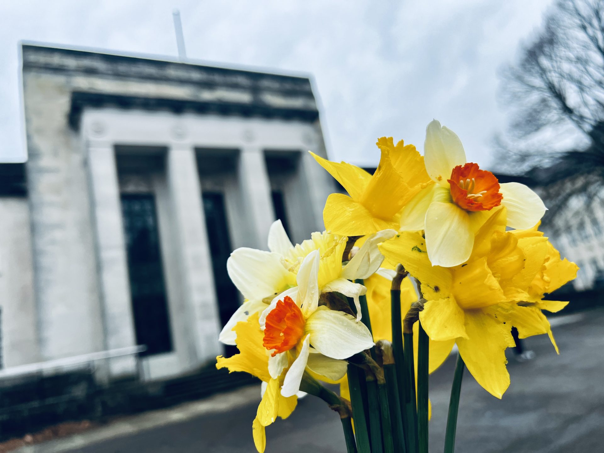 WCIA_Wales's tweet card. Datganiad Cymru o undod a chydberthynas – Wales statement of solidarity and togetherness We were shocked by the violent attack that took place in Southport last week and are deeply saddened by the...