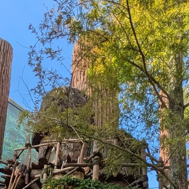 kimmie_2009's tweet card. Kimberly Smith (@auntkimmie_2015) • Instagram photo