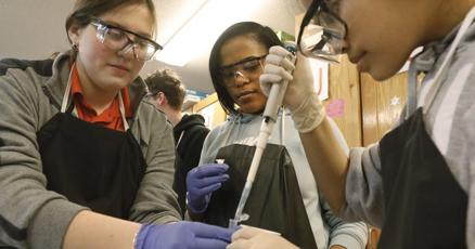 blythebernhard's tweet card. "It's like every amazing kid I ever had in one building"