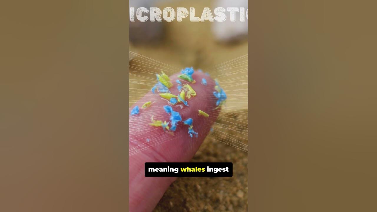 FastVictor's tweet card. This Is How We Stop Whales From Dying